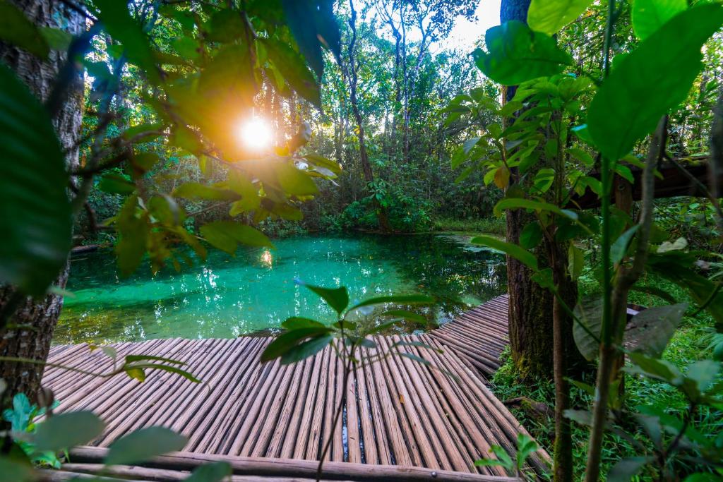 uma piscina de água no meio de uma floresta em Hotel Fazenda Areia que Canta em Brotas