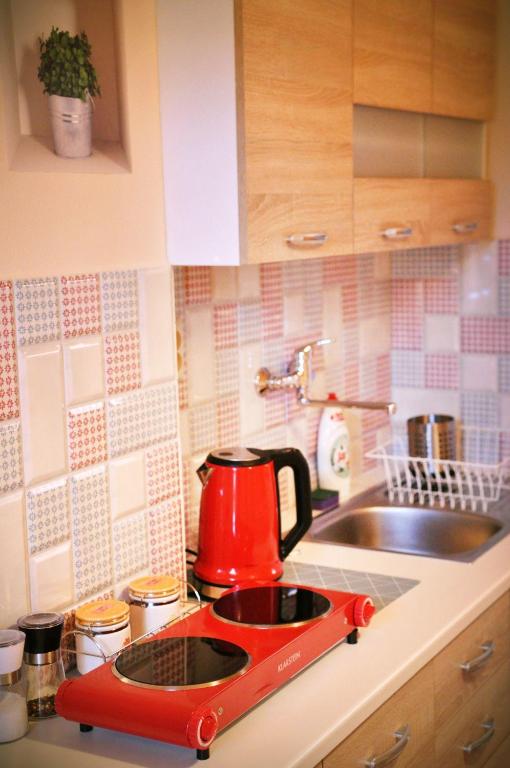 Kuchyň nebo kuchyňský kout v ubytování Apartmán 501