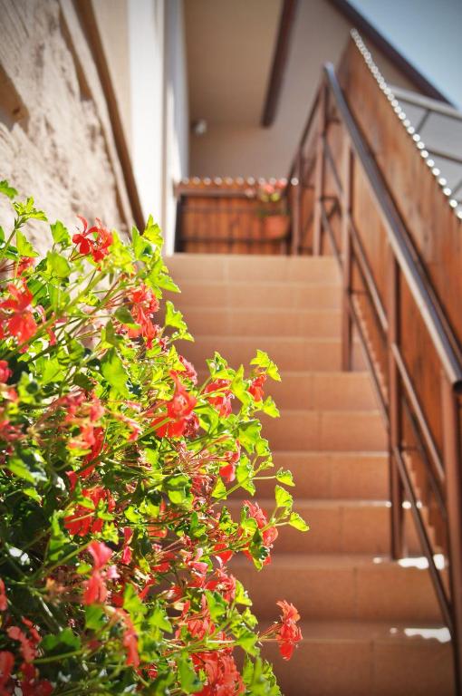 Fotografie z fotogalerie ubytování Apartmán 501 v destinaci Važec
