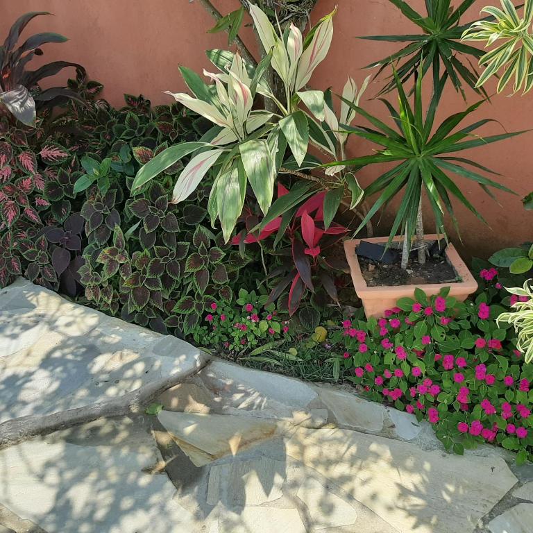  Ecco House Buzios