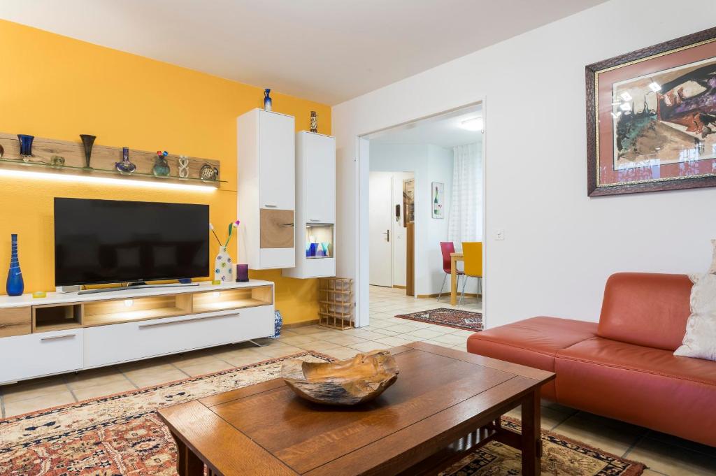 TV a/nebo společenská místnost v ubytování Modern, Cozy Large Apartment with Terrace in Basel- Allschwil