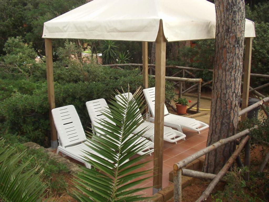 Zahrada ubytování Hotel Giardino