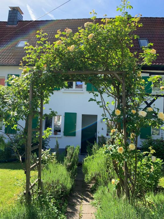 einen Garten mit einem Apfelbaum vor einem Haus in der Unterkunft Buxhaus in Solingen
