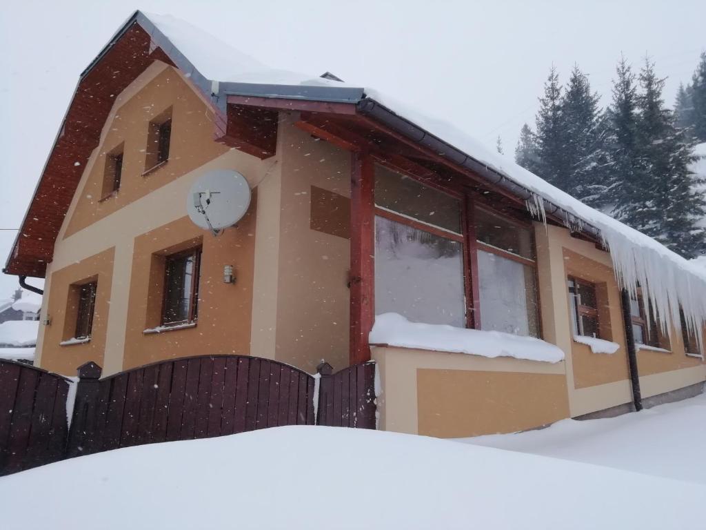 Vilka Stefi v zime