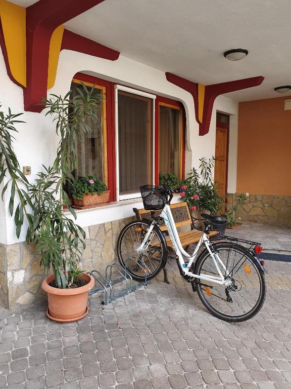 Jízda na kole v ubytování Danubia Apartman nebo okolí
