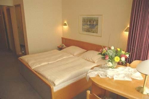Hotel Pfälzer Hof, Zum Schokoladengießer - Classic Double Room