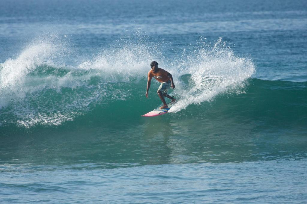 Hosté ubytování The Green Rooms Surf & Yoga Camp - ON THE BEACH - Prime location Renovated 2024