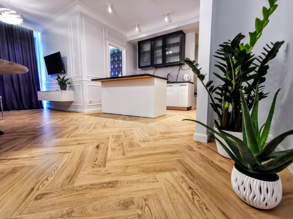 Apartamenty Kielce- Apartament Zacisze -Komfort przy Baseny Tropikalne, faktura, parking, centrum - 10