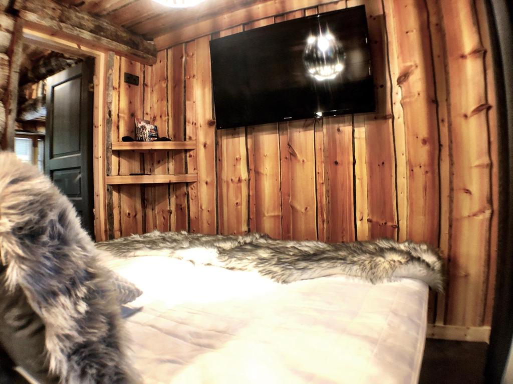 Телевизор и/или развлекательный центр в Ruka Chalet Plage Oliver