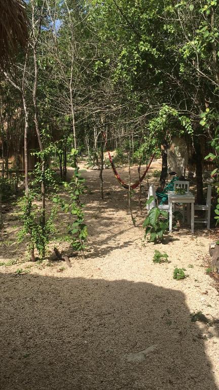 Fotografie z fotogalerie ubytování Aldea Yuyu v destinaci Tulum