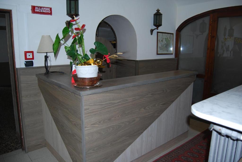 a counter with a potted plant on top of it at Albergo della Posta in Trivero