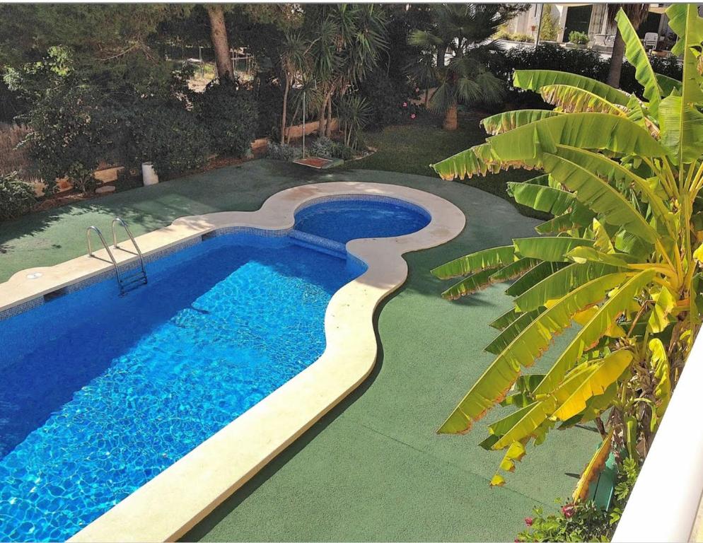 a swimming pool in a yard next to a palm tree at Can Antonia in Can Picafort