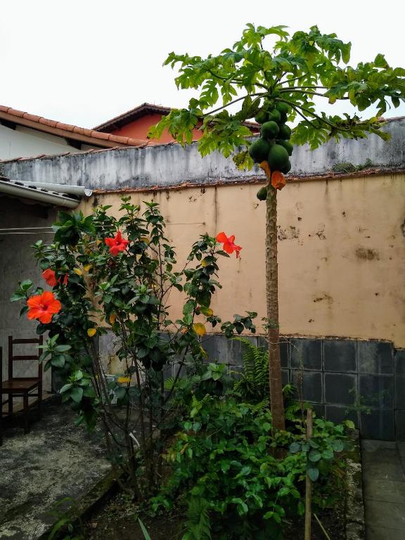  A casa de Praia-Peruíbe