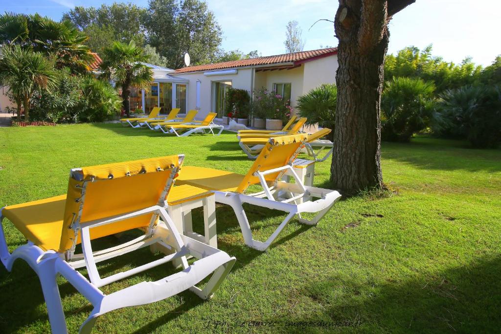 a row of lounge chairs and a tree in a yard at Locatlantique in Aytré