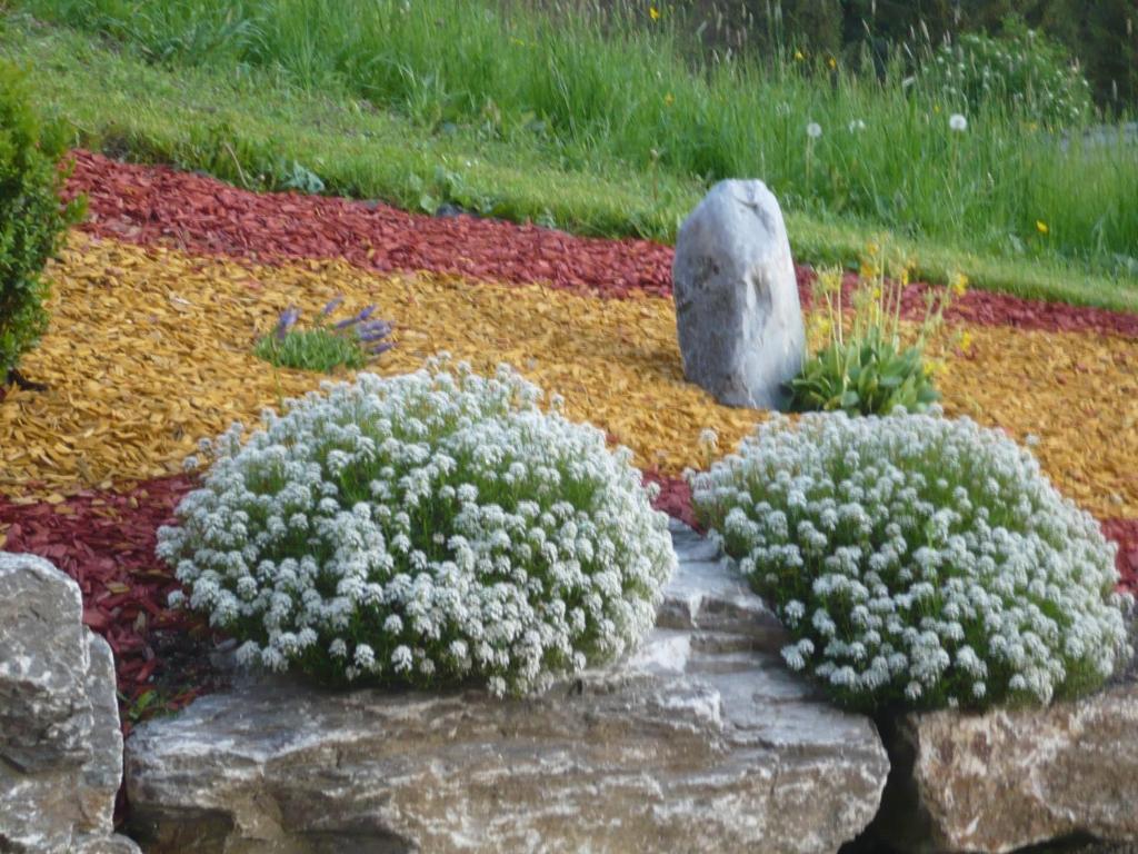 Zahrada ubytování Oberstockerhof