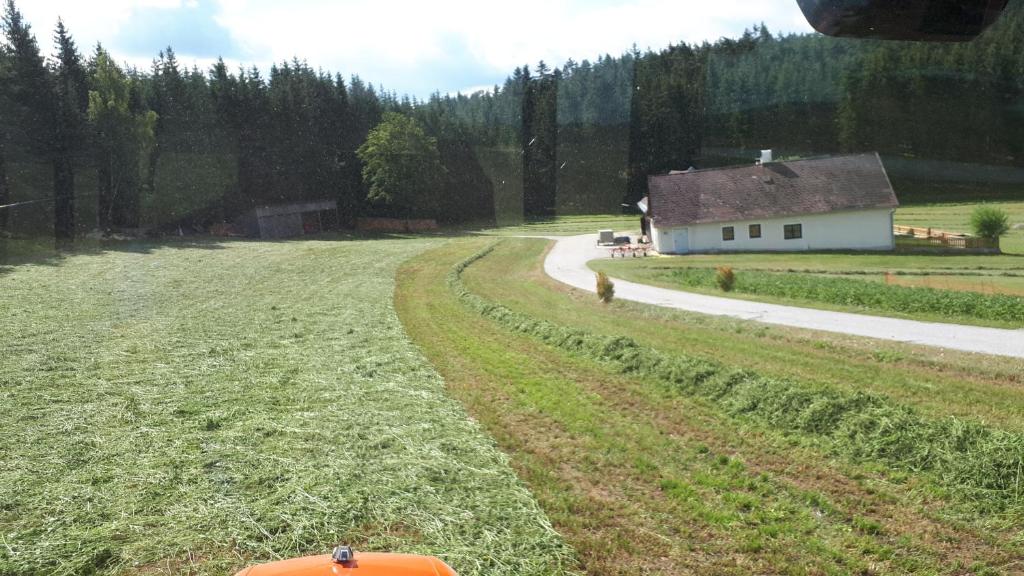Příroda nedaleko prázdninového domu