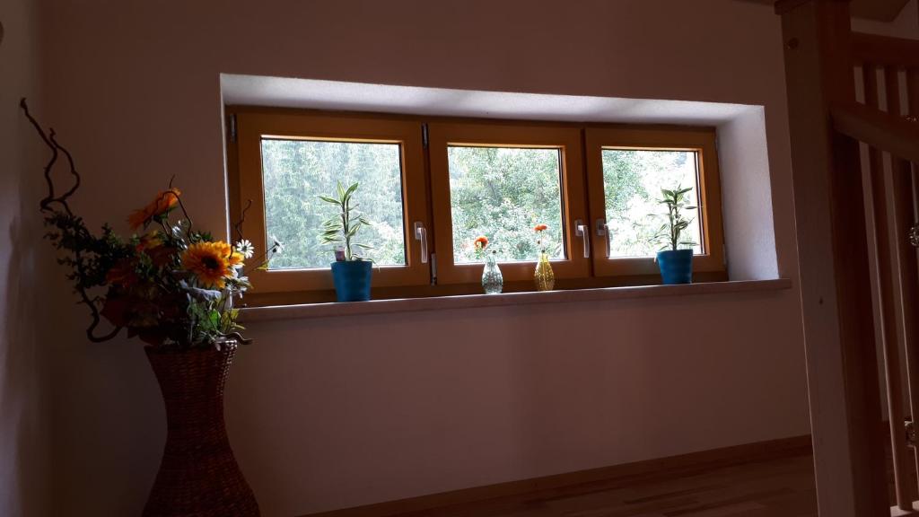 Fotografie z fotogalerie ubytování Ferienhaus Buxbaum v destinaci Arbesbach