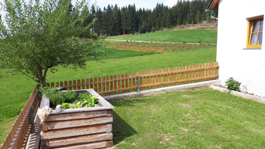 Zahrada ubytování Ferienhaus Buxbaum