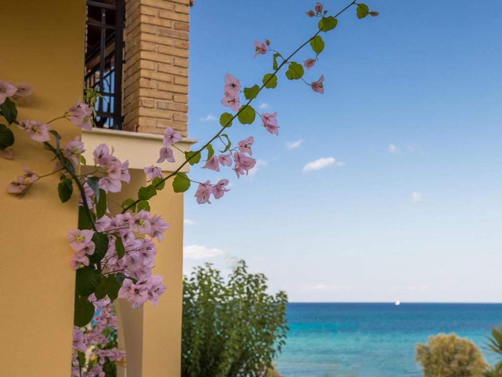 a branch of pink flowers with the ocean in the background at Calypso Studios in Amoudi