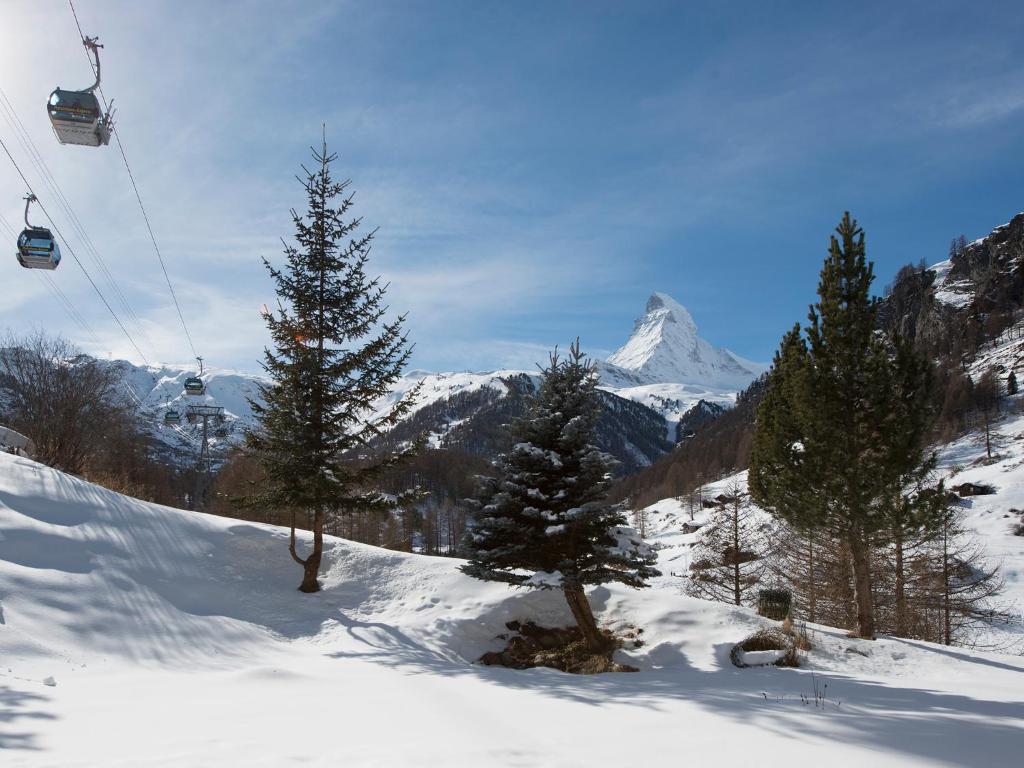 Hotel Plateau Rosa - Resim 11