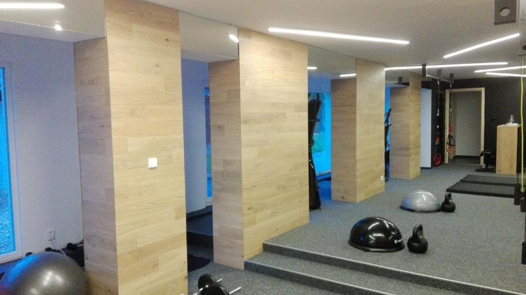 Fitness centrum a/nebo fitness zařízení v ubytování Apartments U Zelmanu