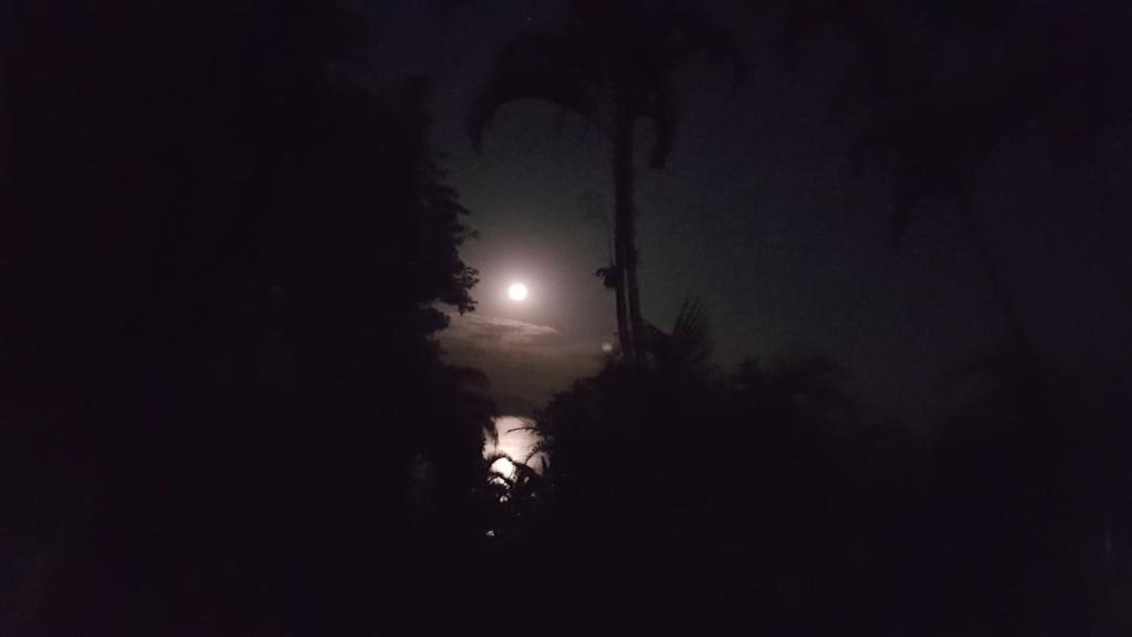  Casa com linda vista para o mar para amantes da natureza