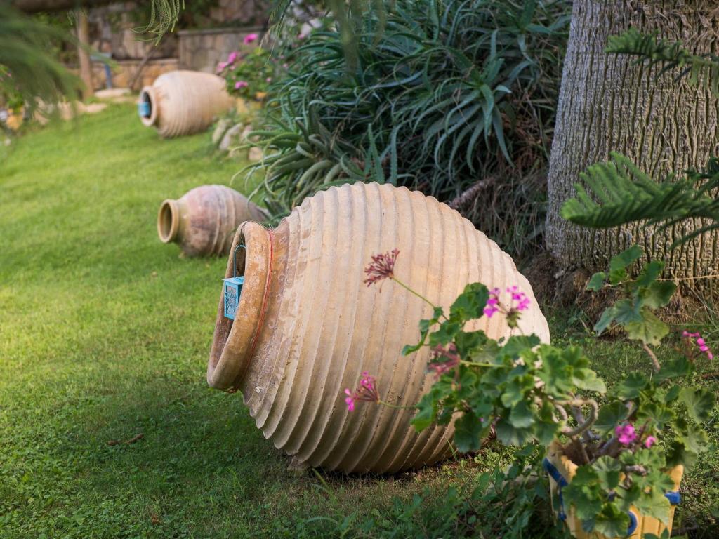 a group of wooden pots sitting in the grass at Calypso Studios in Amoudi