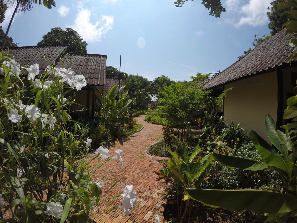 a garden with a cat walking down a brick path at OP Bungalow in Chaweng