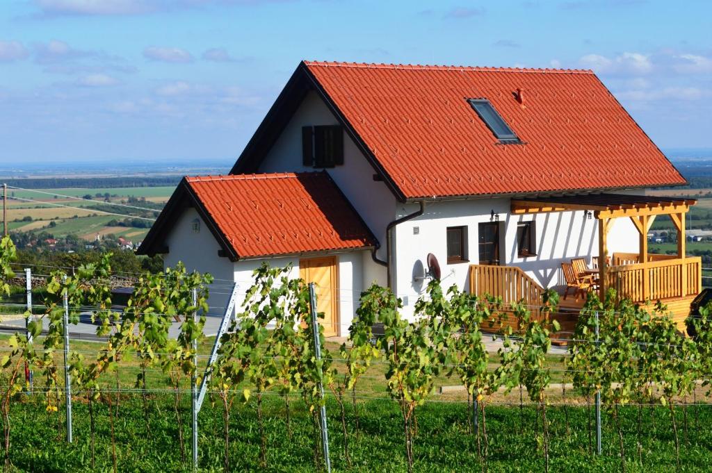 una casa con techo naranja en una colina en REnthouse - Ferienhaus am Weinberg, en Rechnitz