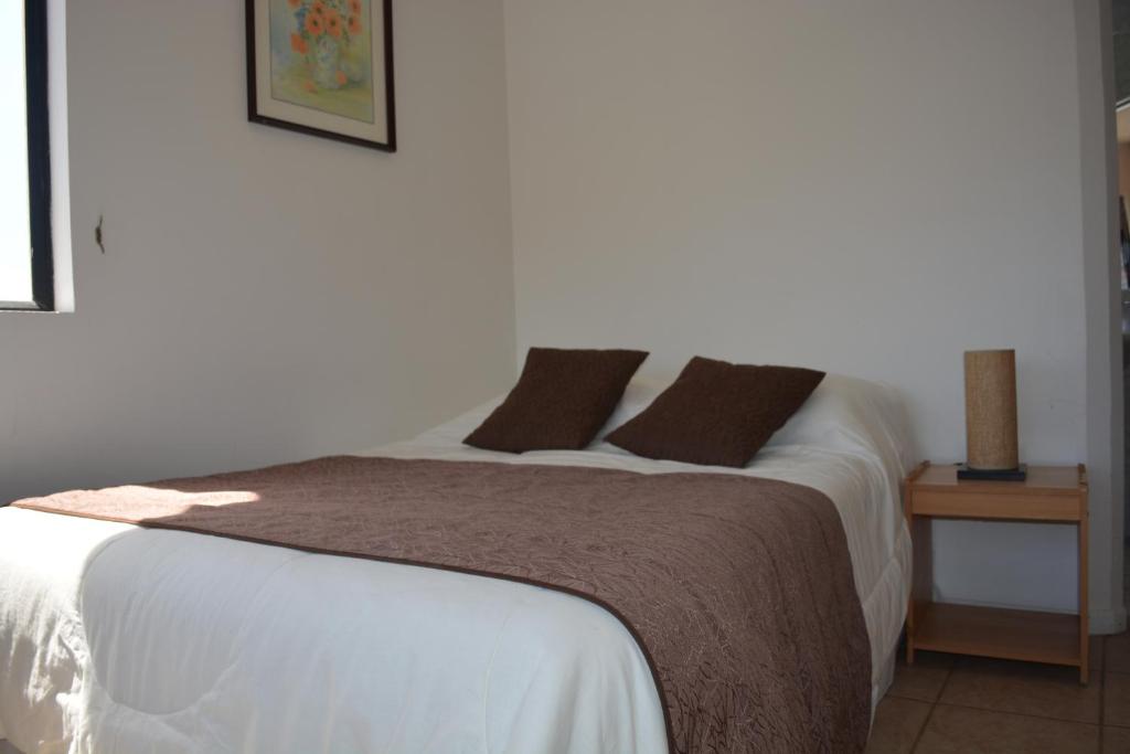Postel nebo postele na pokoji v ubytování Hotel Blanco Encalada