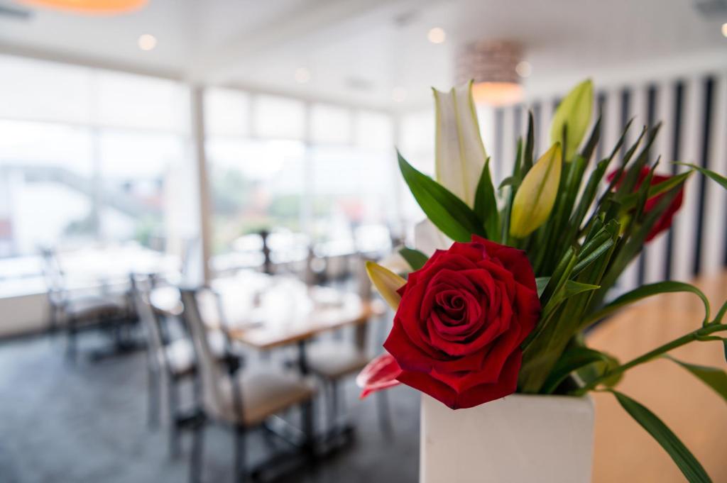 Bay Plaza Hotel - Resim 20