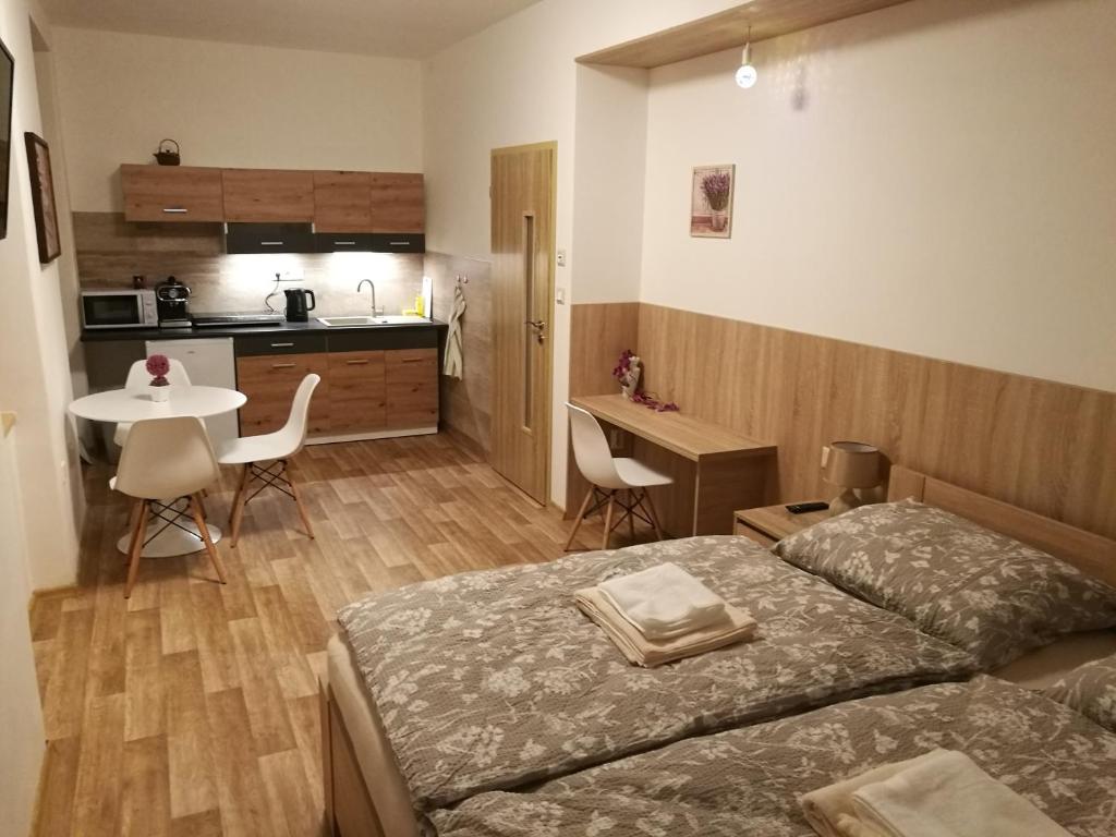 Kuchyň nebo kuchyňský kout v ubytování Apartmán BON