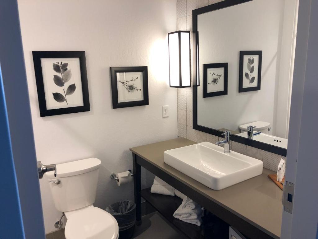 Country Inn & Suites by Radisson, Flagstaff Downtown, AZ - Chambre Roi Avec Canapé-lit - Non-fumeur