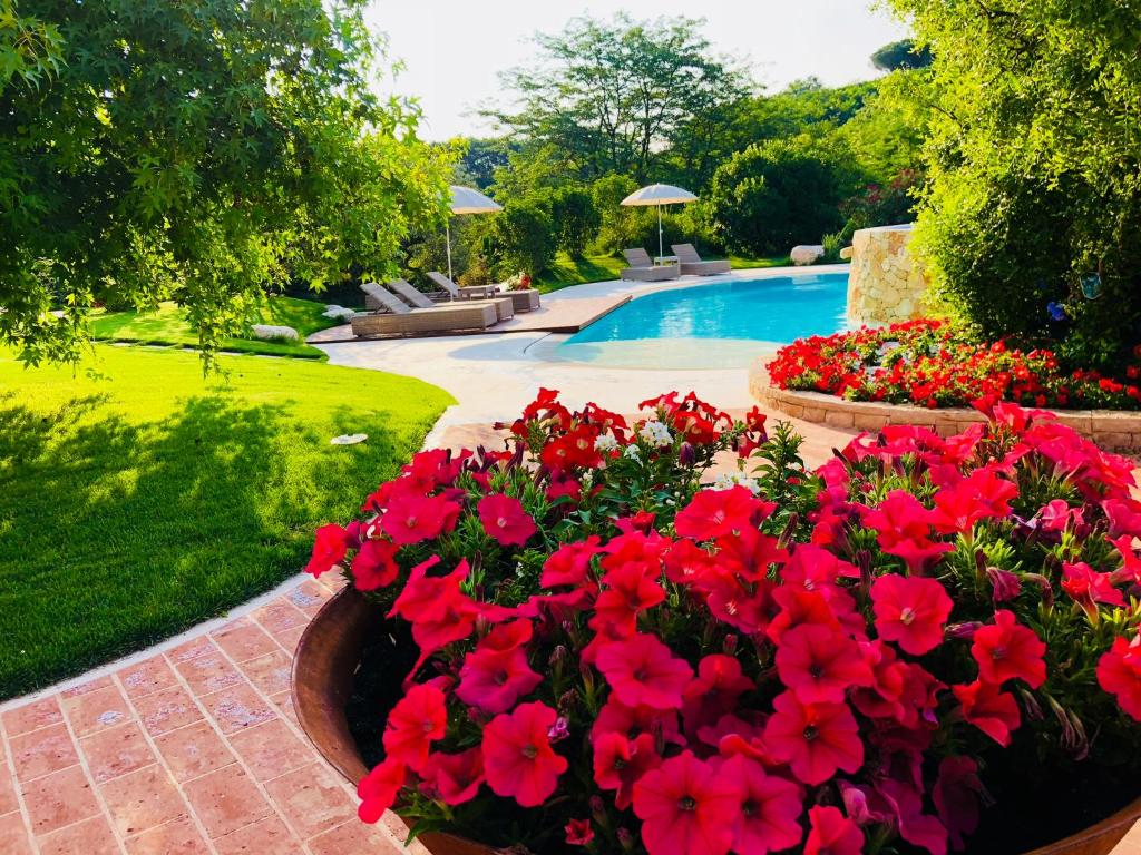 特耶內的住宿－Borghetto San Biagio Relais Agriturismo，一座种有红色鲜花的花园和一个游泳池