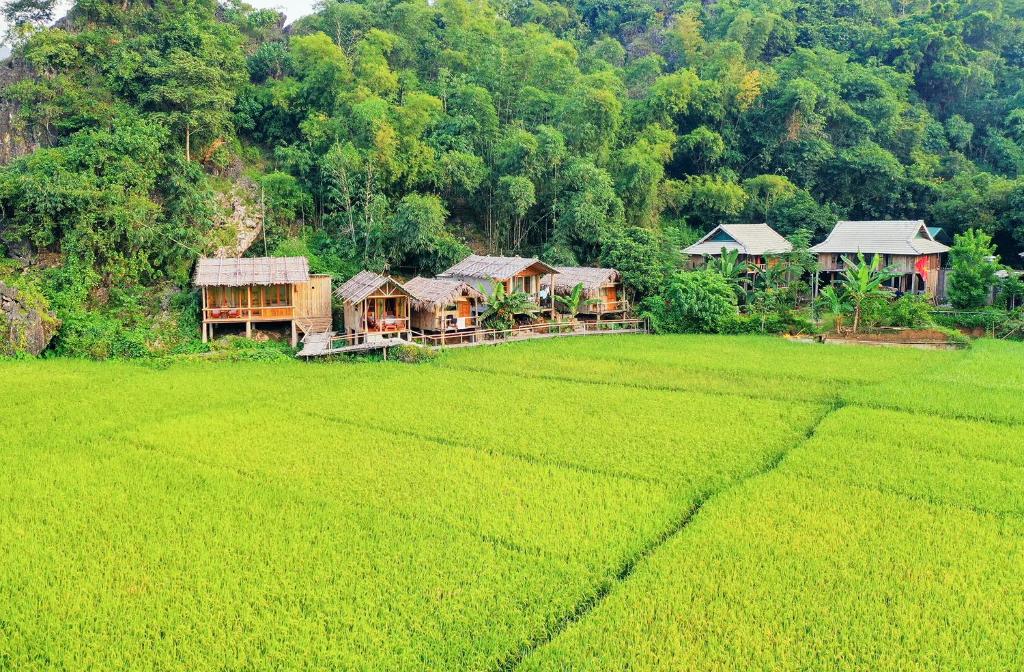 a group of houses in the middle of a rice field at Little Mai Chau Home Stay in Mai Chau