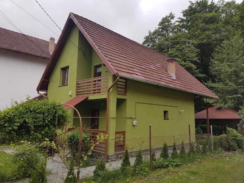 una casa verde con techo marrón en Casa Demény en Sovata