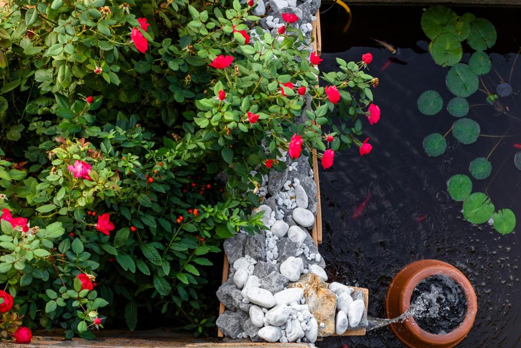 La Casetta Madonna di Morciano - 19