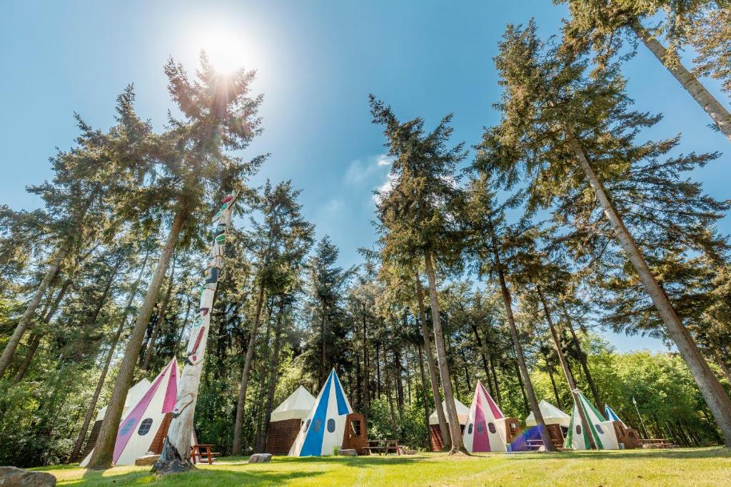 een groep tenten in een veld met bomen bij Vakantiepark de Bergen in Wanroij