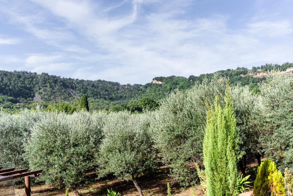 La Casetta Madonna di Morciano - 8