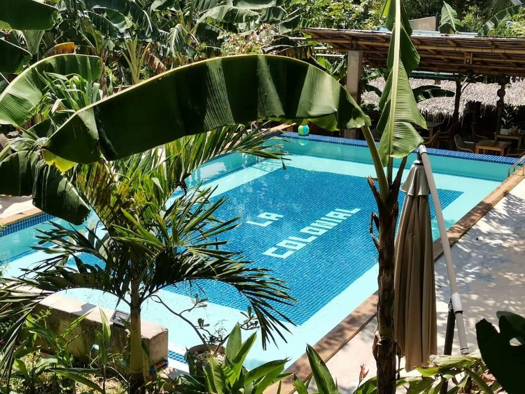 a swimming pool with a palm tree next to it at La Colonial Resort in El Nido