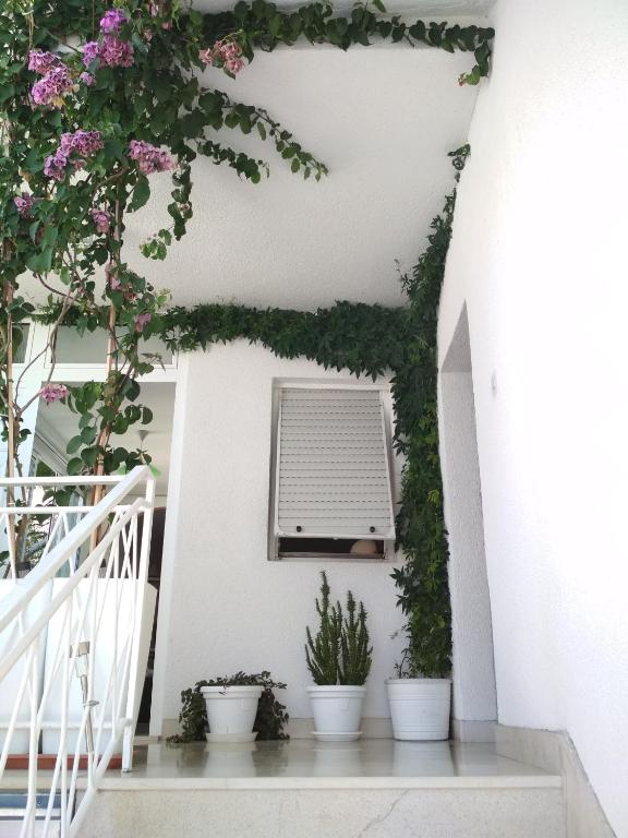 Fotografie z fotogalerie ubytování Apartmani Carević v destinaci Baška Voda