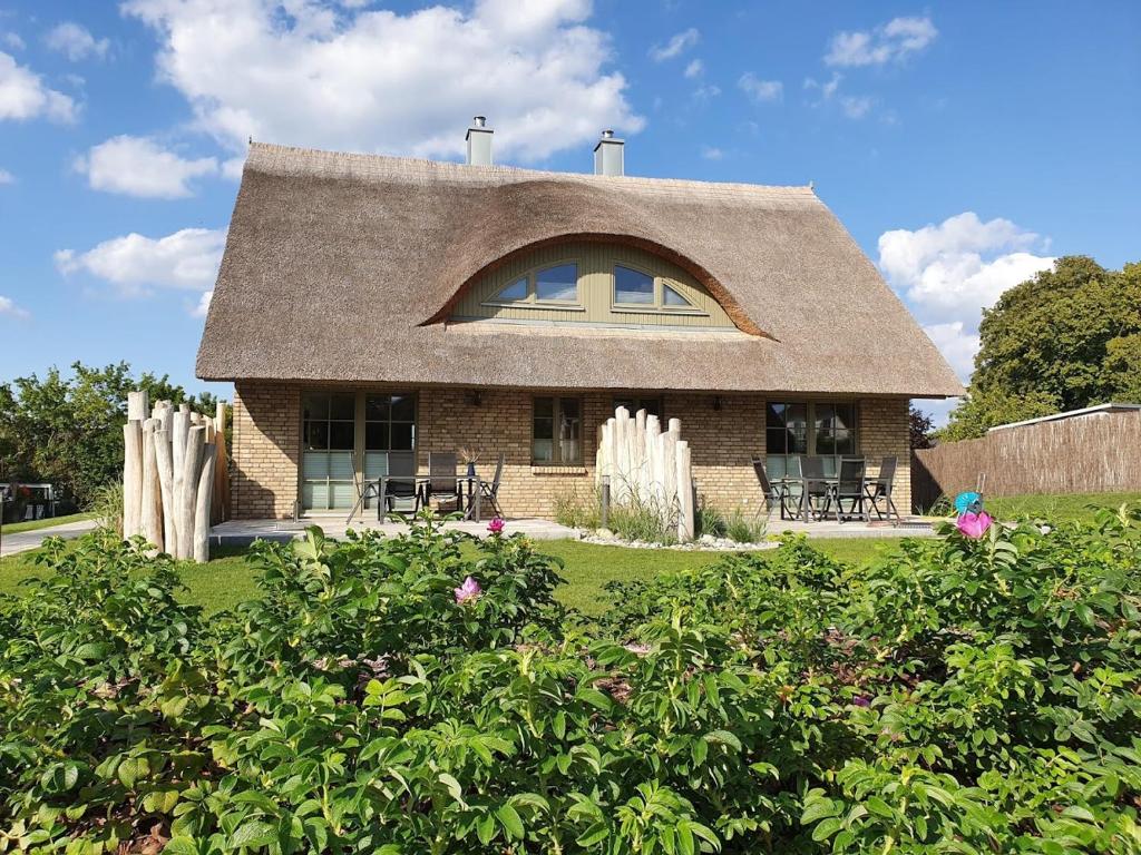 uma pequena casa de tijolos com telhado de palha em Ferienhaus Schütt em Zempin