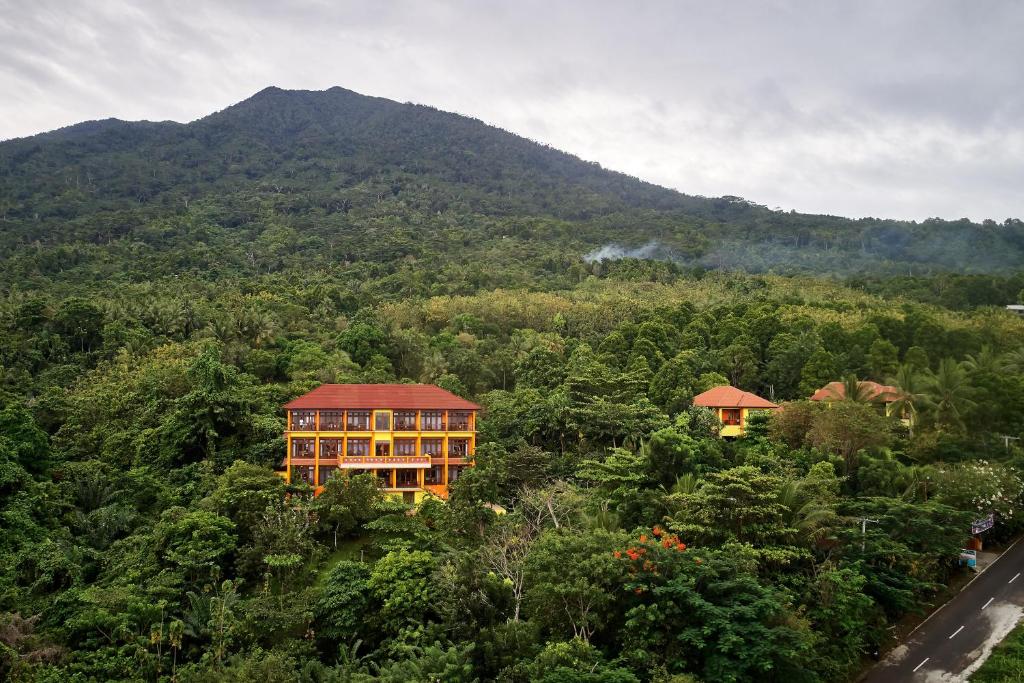 a building in the middle of a forest with a mountain at Villa Ma'Rasai in Ternate