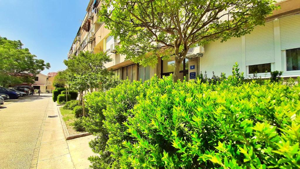 Vonkajšia záhrada v ubytovaní Town Center Apartment with Balcony