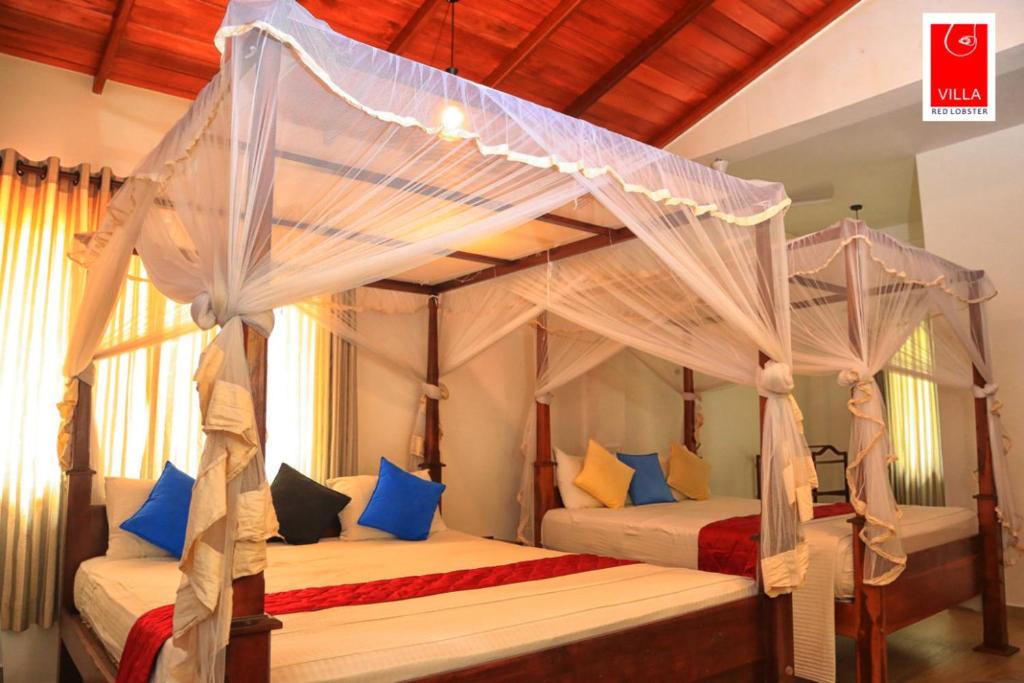 two beds in a bedroom with a canopy bed at Villa Red Lobster in Hikkaduwa