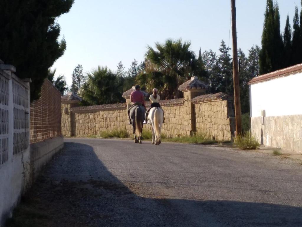 Jazda na koni pri dovolenkovom dome alebo okolí