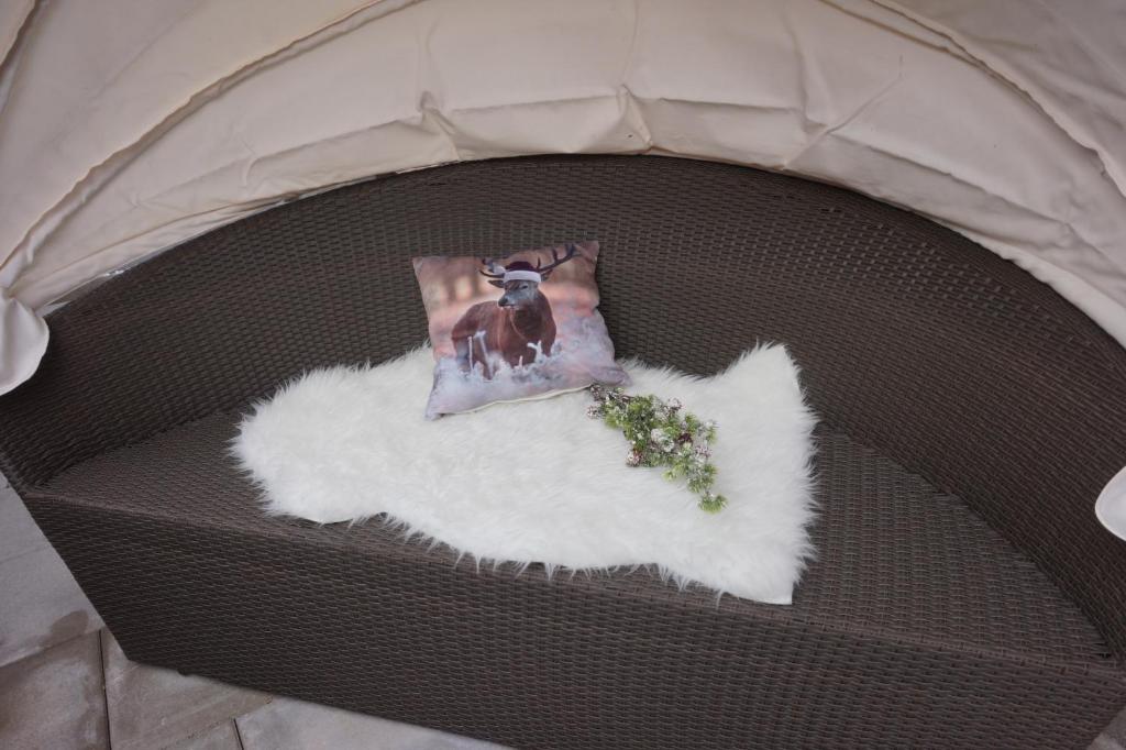 Fotografie z fotogalerie ubytování Appartement Deisl v destinaci Wagrain