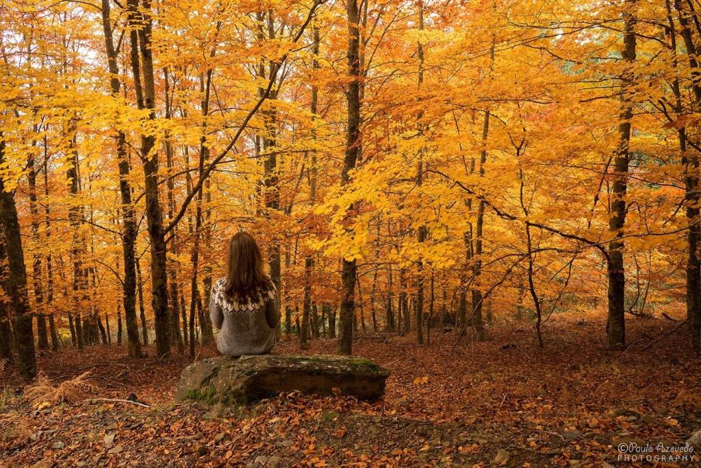 uma mulher sentada numa rocha na floresta em Arcadas da Vila em Manteigas