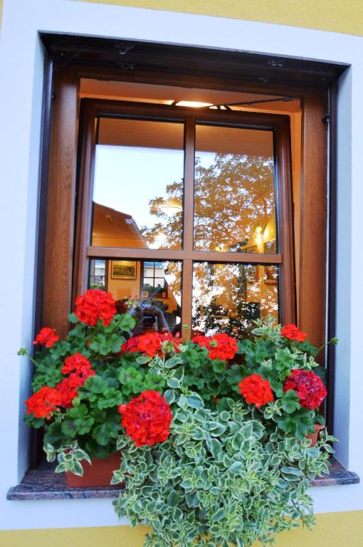 Zahrada ubytování Hostel Strug