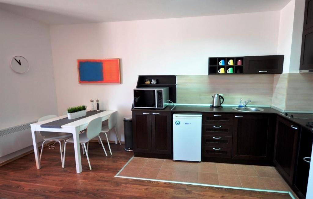 Kuchyň nebo kuchyňský kout v ubytování Apartman u kompleksu Royal Towers